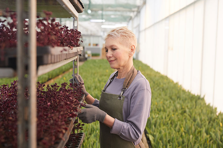 Vrouw in serre - Plantenkweker